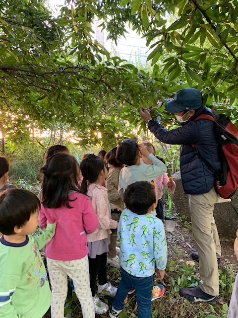 Kids Rocket Academy 【人形町、水天宮エリア】 写真1